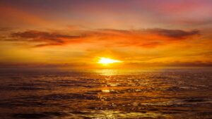Embracing New Beginnings and the Joy of Summer
